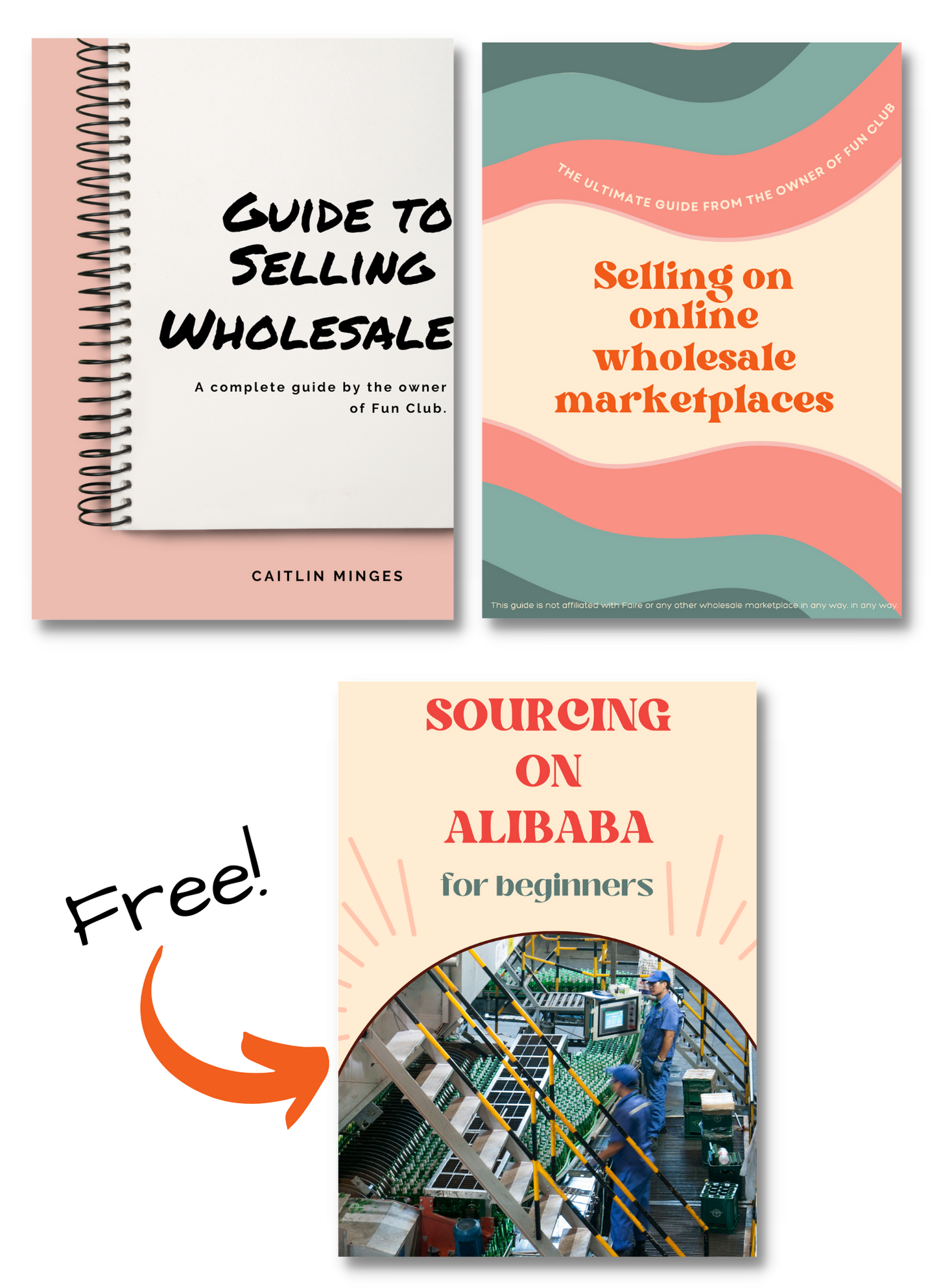 Bundle! All 3 Guides